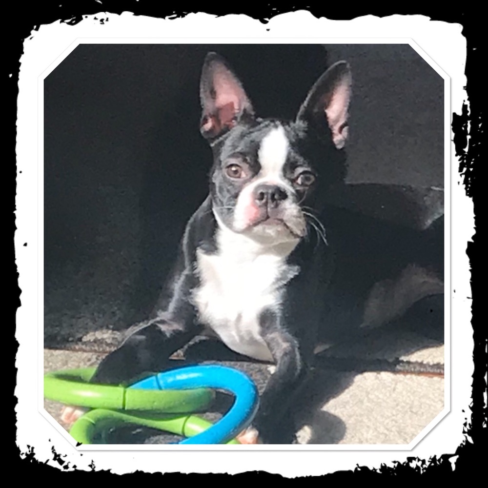 Meet your Posher, Erica